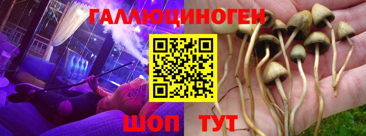 Галлюциногенные грибы мухоморы  Вход с VPN  Псилоцибиновые грибы Cubensis  магазин  наркотиков  Лесозаводск 